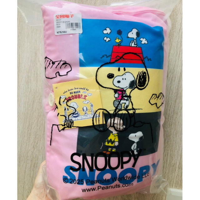 全國電聖誕禮-正版 SNOOPY書型抱枕 史努比書本抱枕  全新未拆